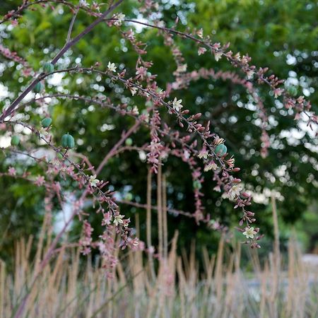 Mandara - Country Lodging Urim エクステリア 写真