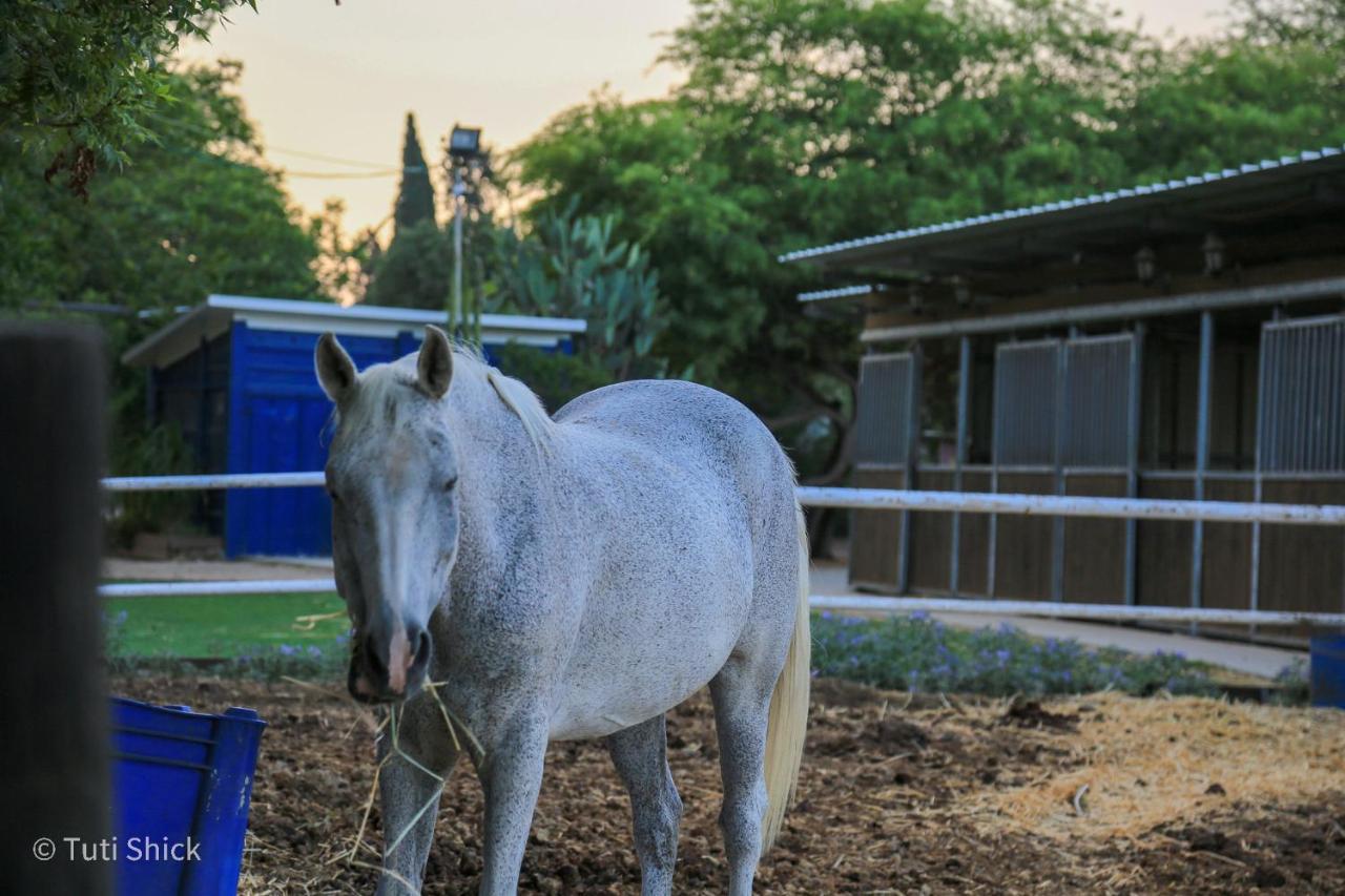 Mandara - Country Lodging Urim エクステリア 写真